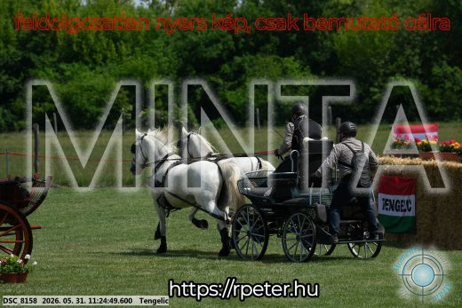 Mintakép 20260531-3211