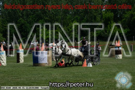 Mintakép 20260531-3213