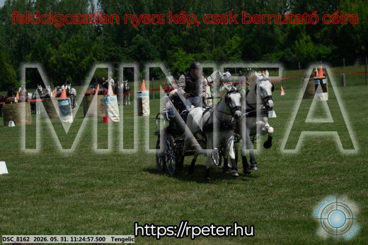 Mintakép 20260531-3215