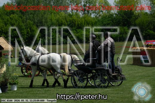 Mintakép 20260531-3218