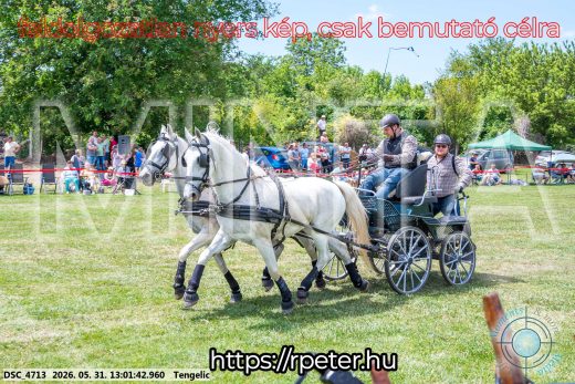 Mintakép 20260531-3220