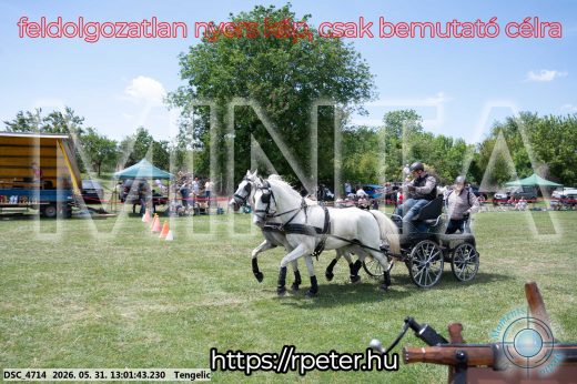 Mintakép 20260531-3221