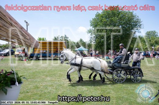 Mintakép 20260531-3222