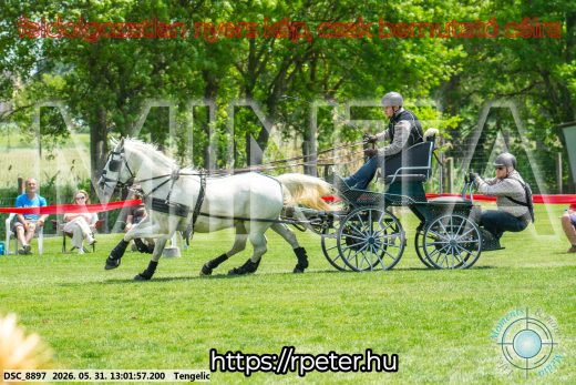 Mintakép 20260531-3224
