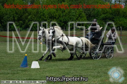 Mintakép 20260531-3228