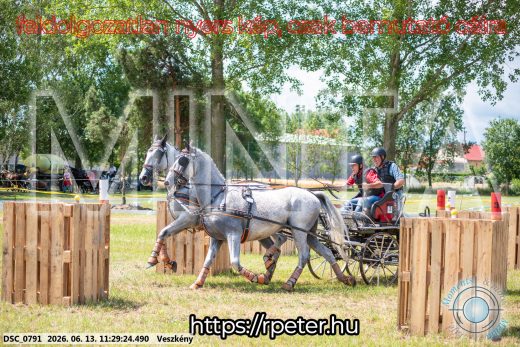 Mintakép 20260613-378