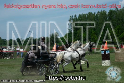 Mintakép 20260531-3231
