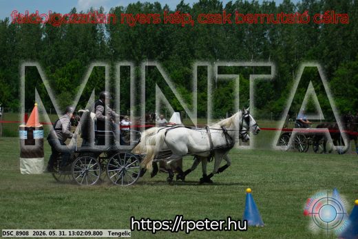 Mintakép 20260531-3232