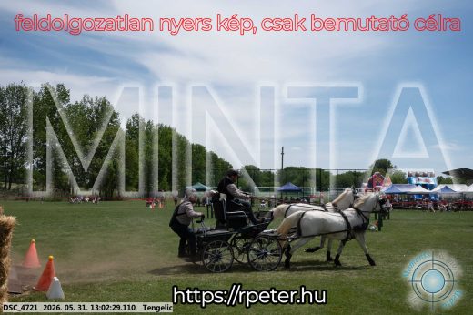 Mintakép 20260531-3238
