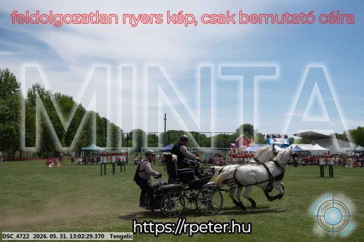 Mintakép 20260531-3239