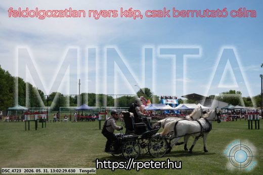 Mintakép 20260531-3240