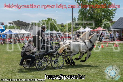 Mintakép 20260531-3241