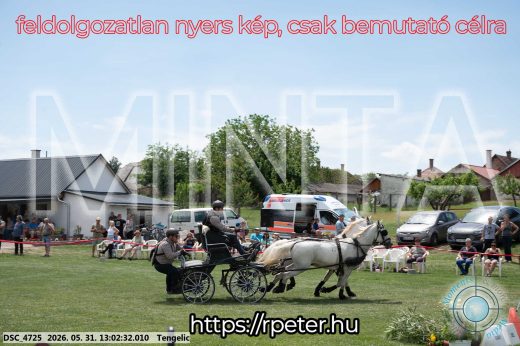 Mintakép 20260531-3242