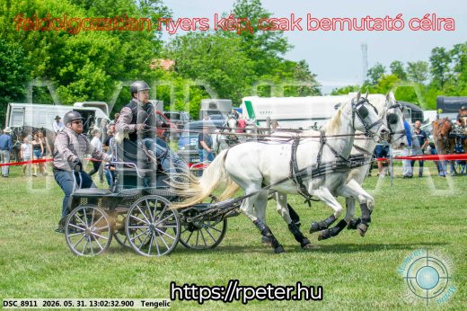 Mintakép 20260531-3244