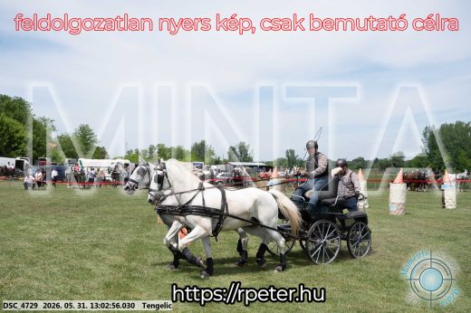 Mintakép 20260531-3246
