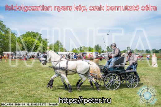 Mintakép 20260531-3247