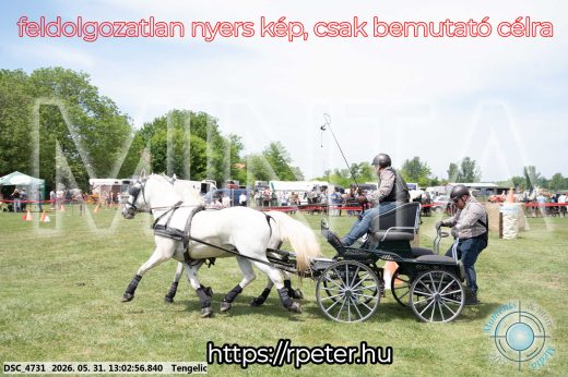 Mintakép 20260531-3248