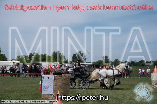 Mintakép 20260531-3249