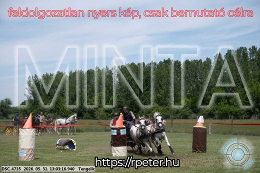 Mintakép 20260531-3252