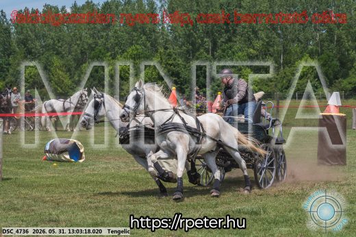 Mintakép 20260531-3253