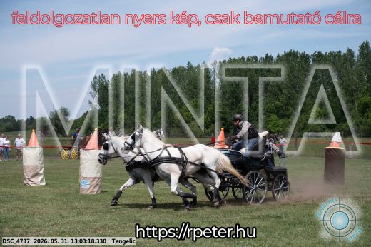 Mintakép 20260531-3254