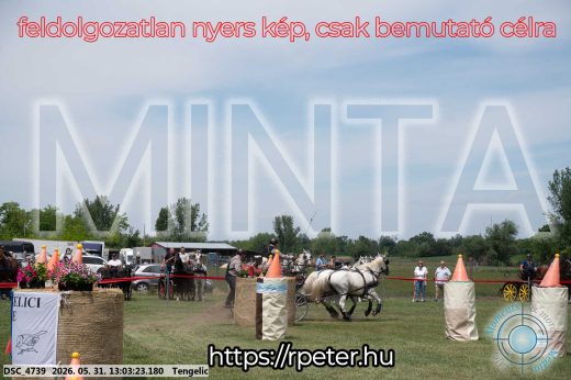 Mintakép 20260531-3256