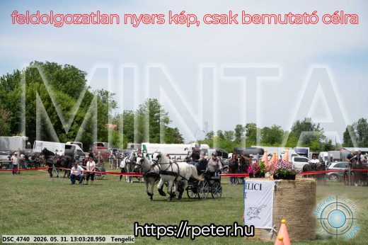 Mintakép 20260531-3257