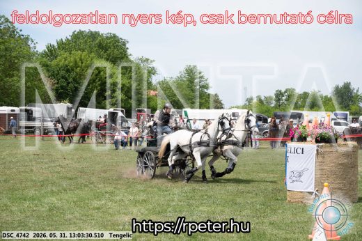 Mintakép 20260531-3259