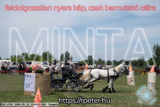 Mintakép 20260531-3260