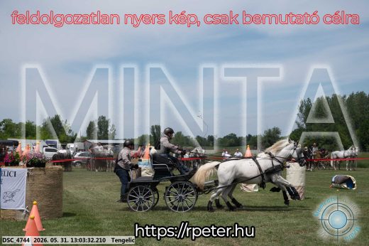 Mintakép 20260531-3261