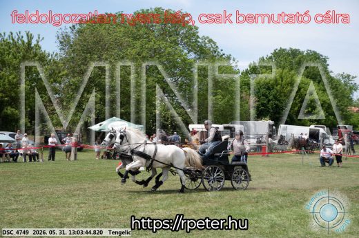 Mintakép 20260531-3266