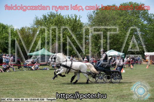Mintakép 20260531-3267