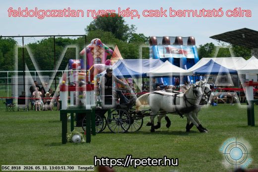 Mintakép 20260531-3268
