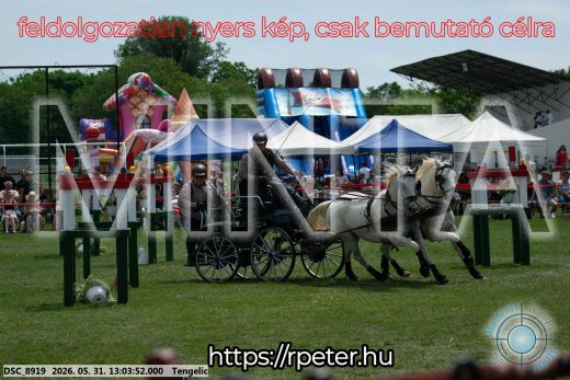 Mintakép 20260531-3269