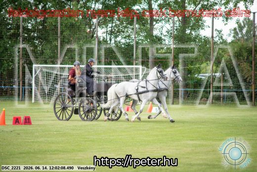 Mintakép 20260614-76