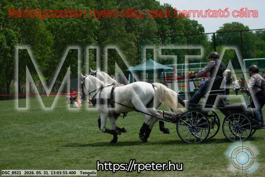 Mintakép 20260531-3271