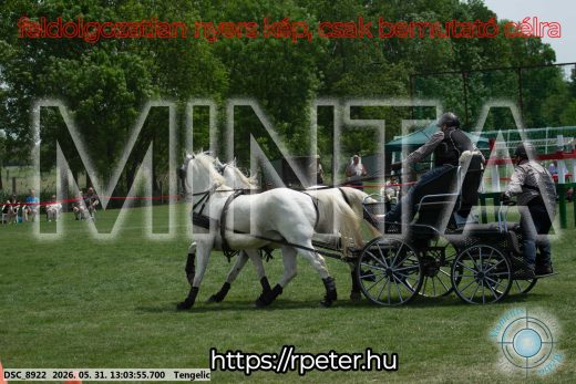 Mintakép 20260531-3272
