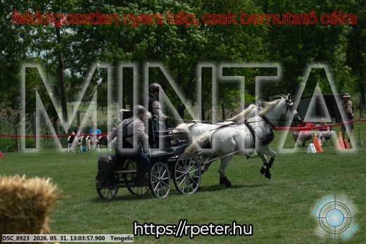 Mintakép 20260531-3273
