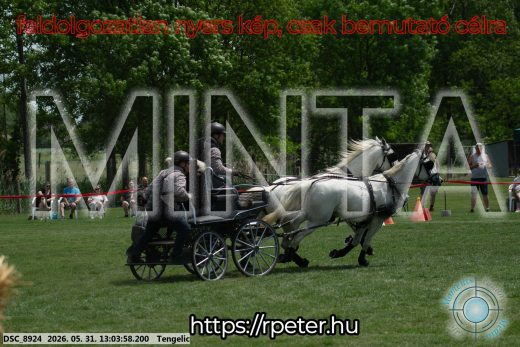 Mintakép 20260531-3274