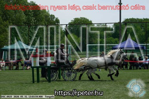 Mintakép 20260531-3275