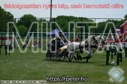 Mintakép 20260531-3276