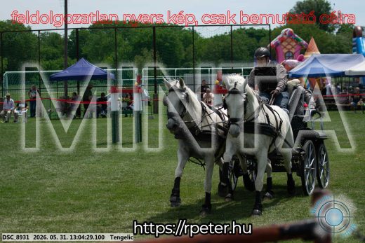 Mintakép 20260531-3277