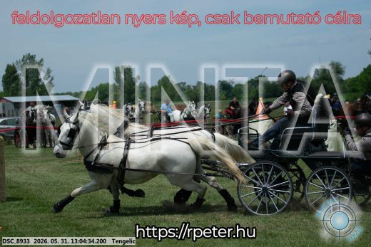 Mintakép 20260531-3279