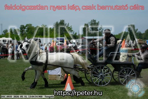 Mintakép 20260531-3281