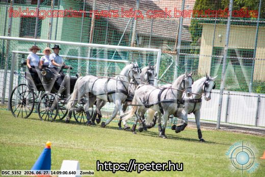 20260627-140900-DSC_5352.jpg