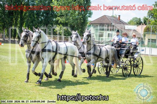 Mintakép 20260627-8