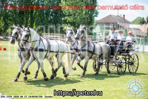 Mintakép 20260627-9