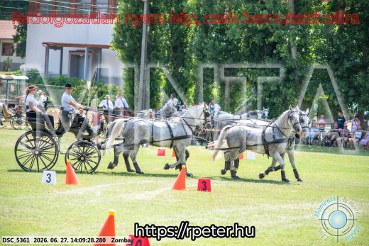 Mintakép 20260627-11