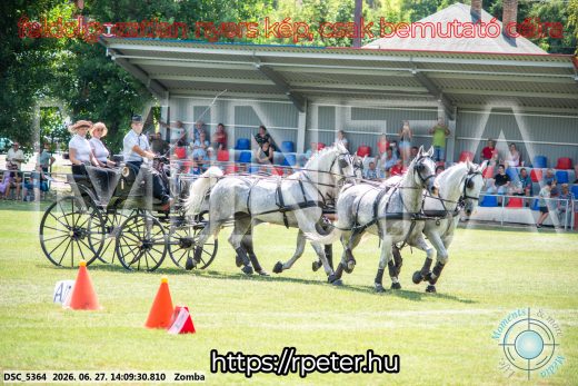 Mintakép 20260627-13