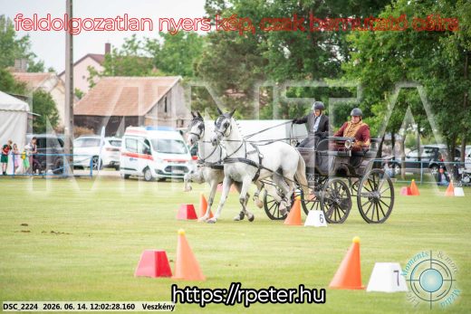 Mintakép 20260614-79